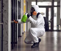 Best Emergency Mold Remediation  in West Lafayette, OH